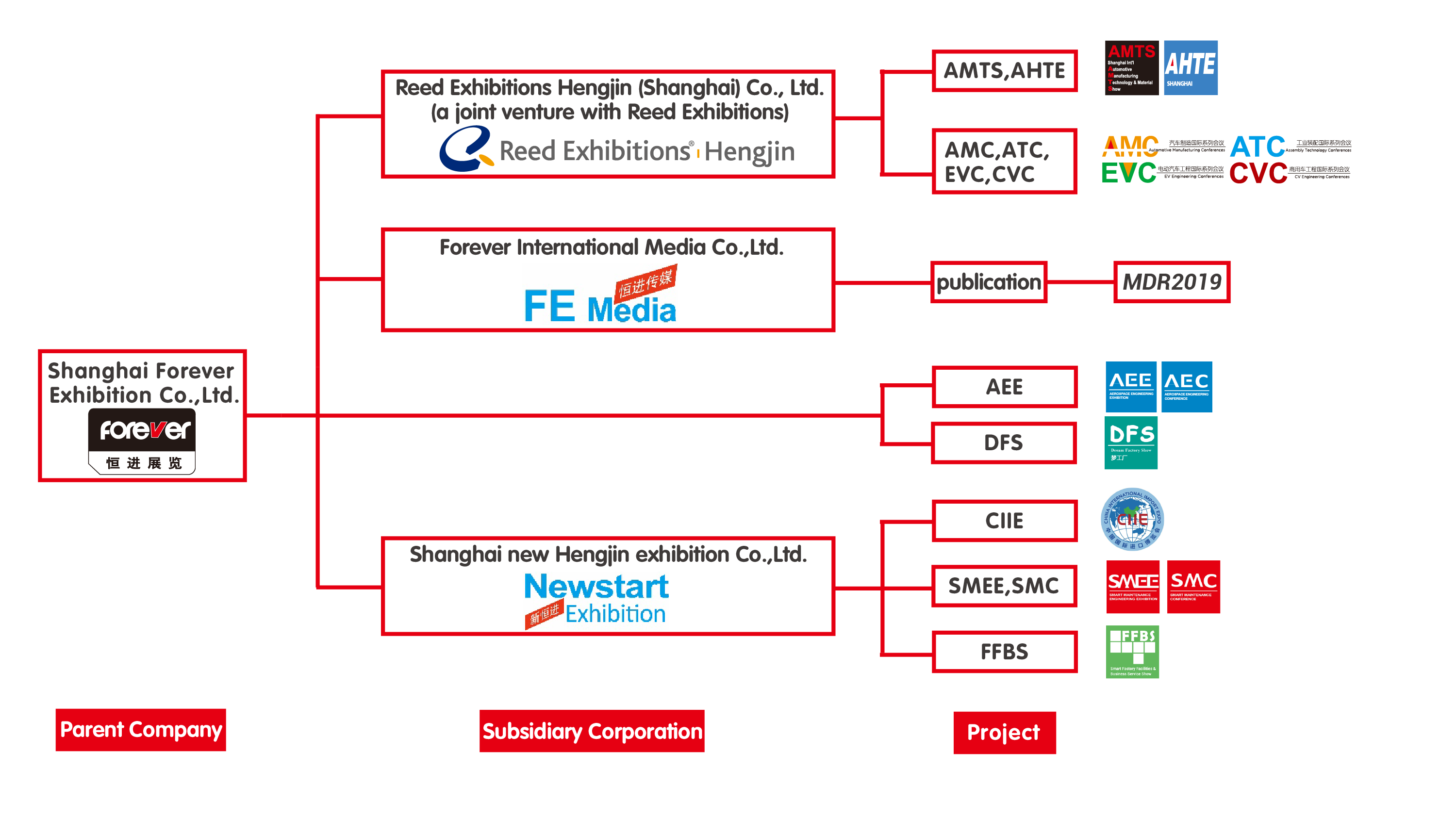 Amc Organization Chart